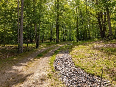 Seize this rare opportunity to own a year-round retreat on the - photo 41