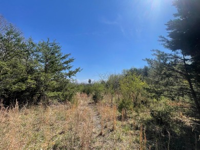 30.44 Acres in Vonore - Rare In-Town Acreage Near Tellico Lake & - photo 2