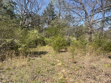 30.44 Acres in Vonore - Rare In-Town Acreage Near Tellico Lake & - photo 3