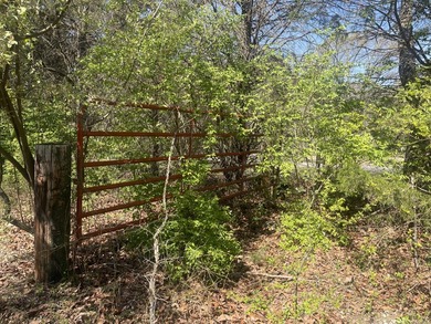 30.44 Acres in Vonore - Rare In-Town Acreage Near Tellico Lake & - photo 4