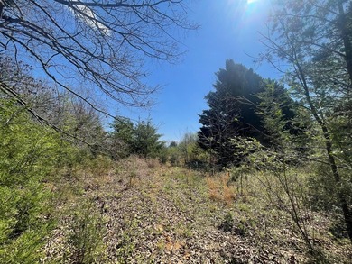 30.44 Acres in Vonore - Rare In-Town Acreage Near Tellico Lake & - photo 5