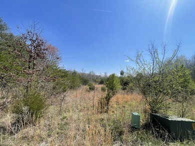 30.44 Acres in Vonore - Rare In-Town Acreage Near Tellico Lake & - photo 9