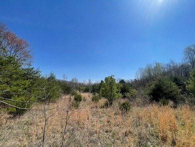 30.44 Acres in Vonore - Rare In-Town Acreage Near Tellico Lake & - photo 10