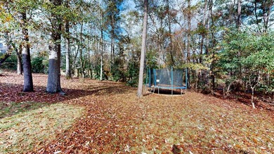 This two-story home offers generous living space and exceptional - photo 51