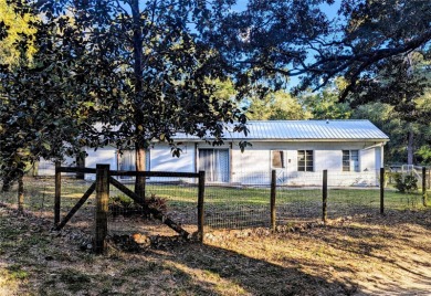 Lake Kerr Home For Sale in Salt Springs Florida