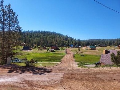 (private lake, pond, creek) Lot For Sale in Duck Creek Utah
