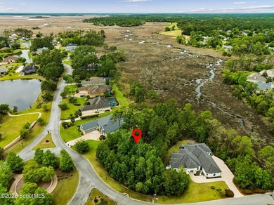 One of the last remaining marshfront opportunities in Osprey - photo 4