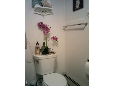 This beauty of a house is going to be a steal for whoever wants - photo 27