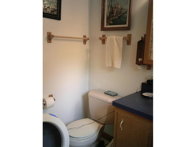 This beauty of a house is going to be a steal for whoever wants - photo 36