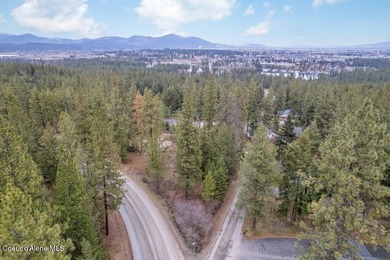 Wooded, buildable lot located at the corner of Comet and - photo 3
