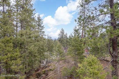 Wooded, buildable lot located at the corner of Comet and - photo 8