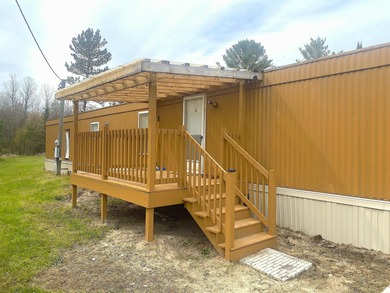 Mio Pond Home For Sale in Luzerne Michigan