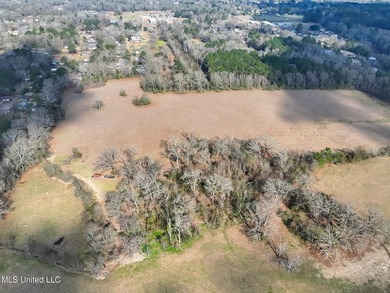 Discover this outstanding 160+/- acre multi-purpose property in - photo 11