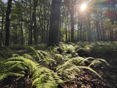 (private lake, pond, creek) Lot For Sale in Terra Alta West Virginia