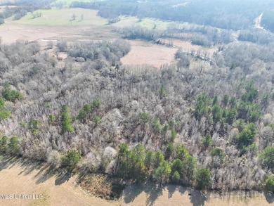Discover this outstanding 160+/- acre multi-purpose property in - photo 12