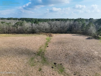 Discover this outstanding 160+/- acre multi-purpose property in - photo 14