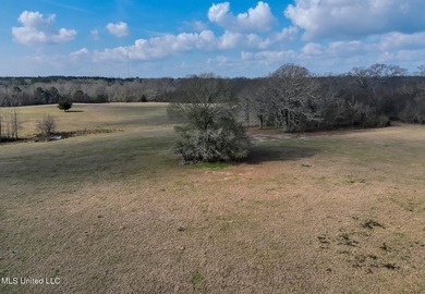 Discover this outstanding 160+/- acre multi-purpose property in - photo 20