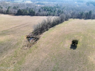 Discover this outstanding 160+/- acre multi-purpose property in - photo 22