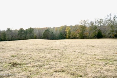 Discover this outstanding 160+/- acre multi-purpose property in - photo 27