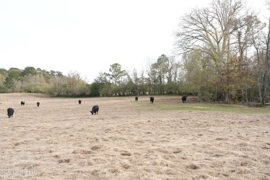 Discover this outstanding 160+/- acre multi-purpose property in - photo 31
