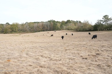 Discover this outstanding 160+/- acre multi-purpose property in - photo 32