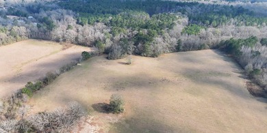 Discover this outstanding 160+/- acre multi-purpose property in - photo 33