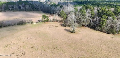 Discover this outstanding 160+/- acre multi-purpose property in - photo 35