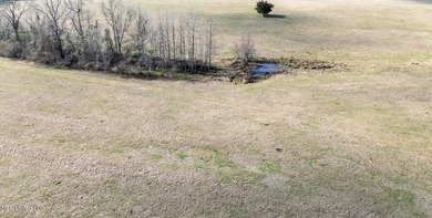 Discover this outstanding 160+/- acre multi-purpose property in - photo 36