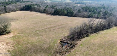 Discover this outstanding 160+/- acre multi-purpose property in - photo 37
