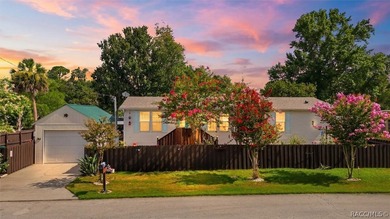 Welcome to 8421 W. Scott Court in beautiful Chassahowitzka, a - photo 37