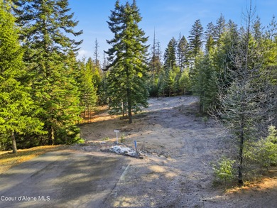 Pend Oreille River Acreage For Sale in Priest River Idaho