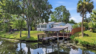 Welcome to 8421 W. Scott Court in beautiful Chassahowitzka, a - photo 45