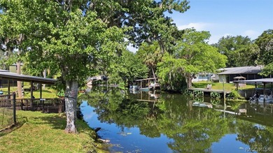 Welcome to 8421 W. Scott Court in beautiful Chassahowitzka, a - photo 47