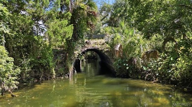 Welcome to 8421 W. Scott Court in beautiful Chassahowitzka, a - photo 48