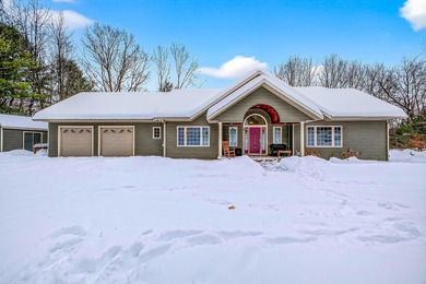 Lake Home For Sale in Shelby, Michigan