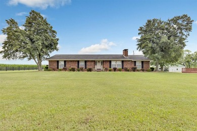 Family Farm Since 1910 - A Rare Opportunity with Endless - photo 1