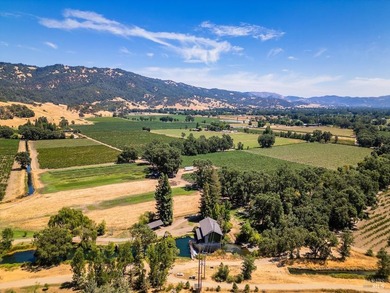 Discover the unparalleled charm of McFadden Family Vineyard & - photo 3
