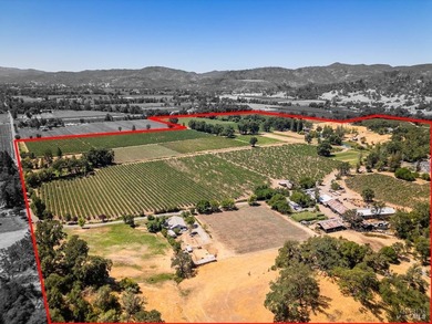 Discover the unparalleled charm of McFadden Family Vineyard & - photo 4