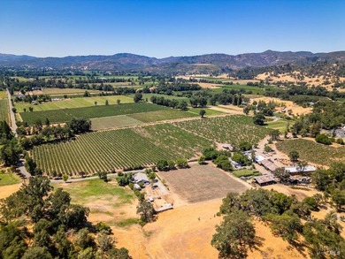Discover the unparalleled charm of McFadden Family Vineyard & - photo 5