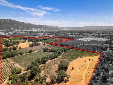 Discover the unparalleled charm of McFadden Family Vineyard & - photo 6
