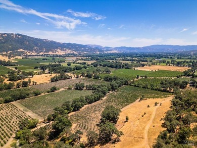 Discover the unparalleled charm of McFadden Family Vineyard & - photo 7