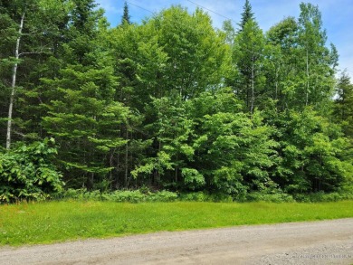 Lake Lot Off Market in Swanville, Maine