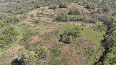 Looking for the perfect land investment, recreation or hunting - photo 4