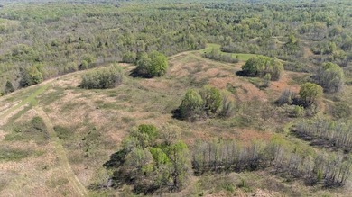 Looking for the perfect land investment, recreation or hunting - photo 5