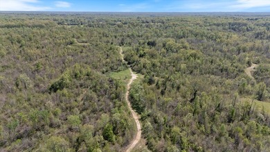 Looking for the perfect land investment, recreation or hunting - photo 9