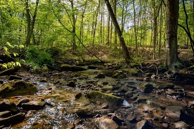 Allegheny River Acreage For Sale in Parker Pennsylvania