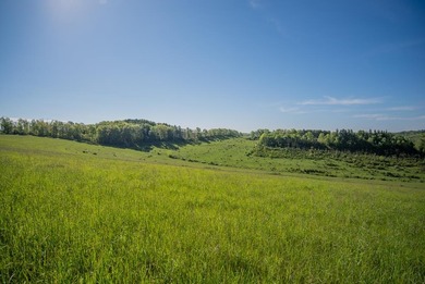 Allegheny River Acreage For Sale in Parker Pennsylvania