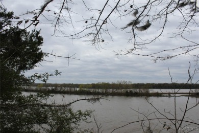 Lake Lot For Sale in Catherine, Alabama