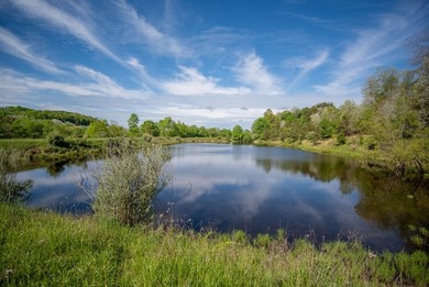 Allegheny River Acreage For Sale in Parker Pennsylvania