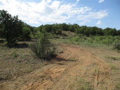 (private lake, pond, creek) Acreage For Sale in Loving Texas
